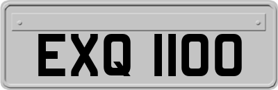 EXQ1100