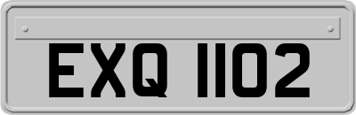 EXQ1102