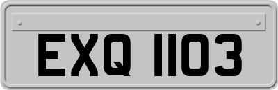 EXQ1103