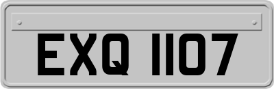 EXQ1107