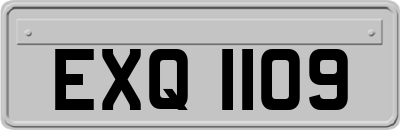 EXQ1109