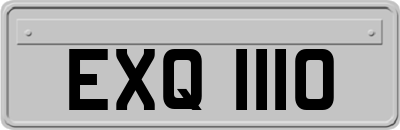 EXQ1110