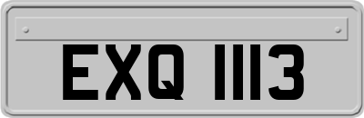 EXQ1113