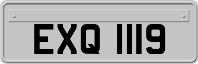 EXQ1119