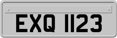 EXQ1123
