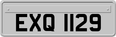 EXQ1129
