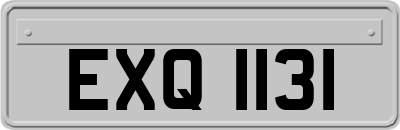 EXQ1131