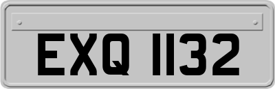 EXQ1132