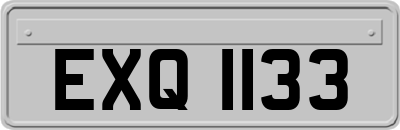EXQ1133