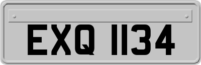 EXQ1134