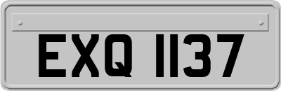 EXQ1137
