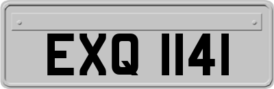 EXQ1141