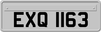 EXQ1163