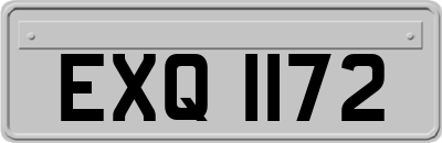 EXQ1172