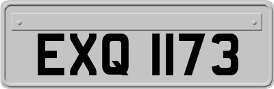 EXQ1173