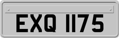 EXQ1175