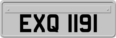 EXQ1191