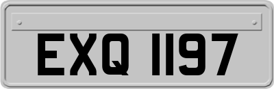 EXQ1197