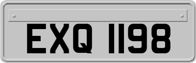 EXQ1198