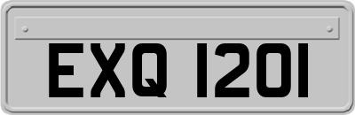 EXQ1201