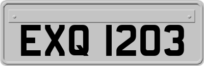 EXQ1203