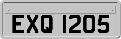 EXQ1205