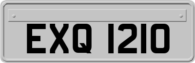 EXQ1210
