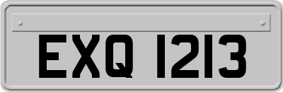 EXQ1213