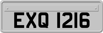 EXQ1216