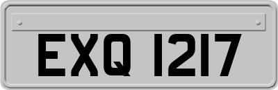 EXQ1217