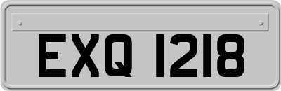 EXQ1218