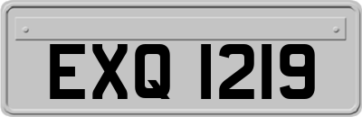 EXQ1219
