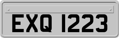 EXQ1223
