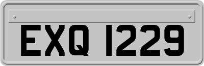 EXQ1229