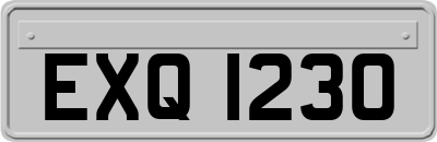EXQ1230