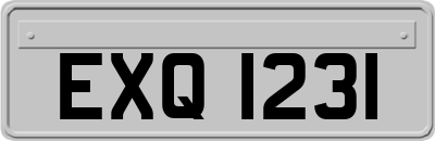 EXQ1231