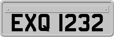 EXQ1232