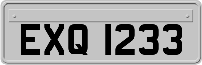 EXQ1233