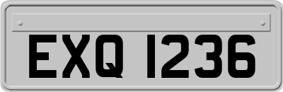 EXQ1236