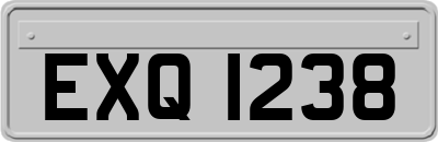 EXQ1238