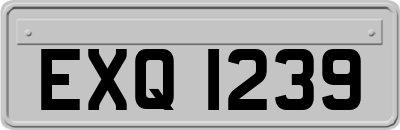 EXQ1239