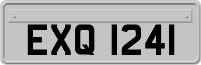 EXQ1241