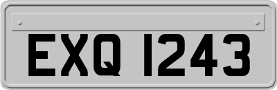 EXQ1243