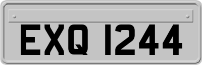 EXQ1244