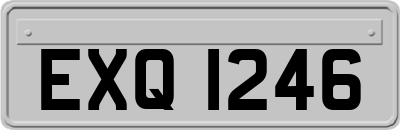 EXQ1246