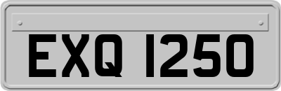 EXQ1250