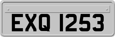 EXQ1253