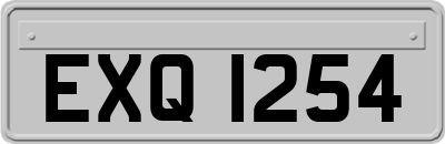 EXQ1254