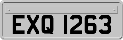 EXQ1263