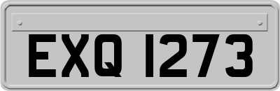 EXQ1273